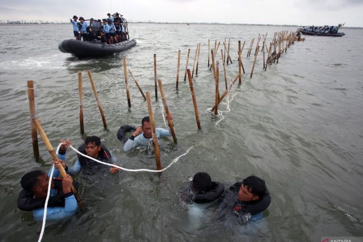 Tebus Pelanggaran: Pemilik Pagar Laut Tangerang Didenda Rp.18Juta/Km