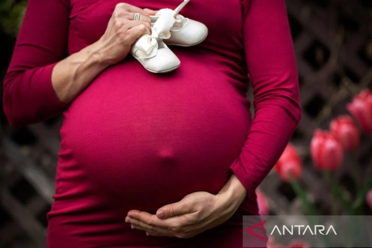 Pexels-Andre-Furtado-43594-2617210