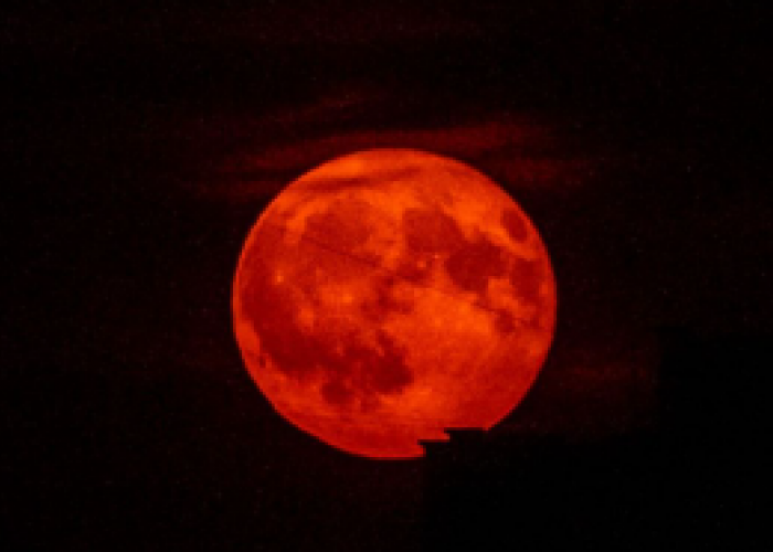 440b21355595161ed77a3a30da7b18f8