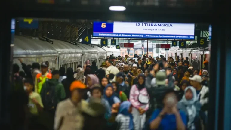 WhatsApp-Image-2026-03-25-at-13.54