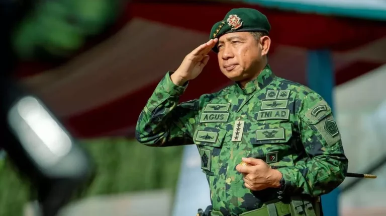 Home 17 Cats-873786495