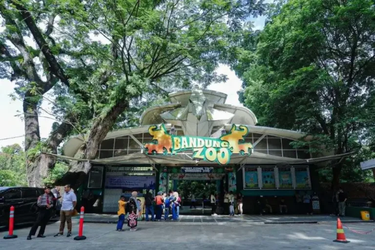 Home 19 Dedi-Mulyadi-Klaim-Masalah-Bandung-Zoo-Tuntas-90-Persen-Segera-Dibuka-Kembali-Untuk-Umum